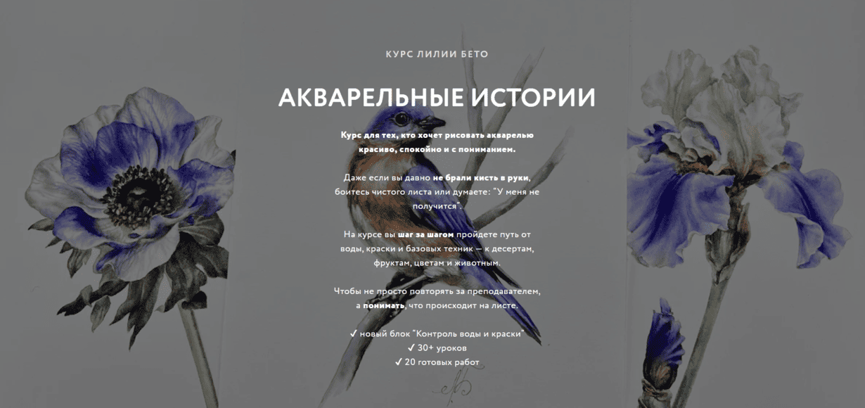 13ce66b9-e8ca-44bf-a90f-07ae648e4483 (1).png