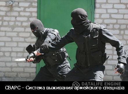 1439970387_zy8iu6rneo9xvpt.jpg