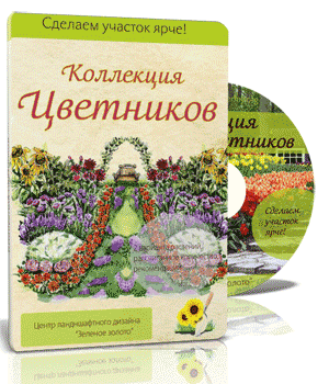 1525876515623.png