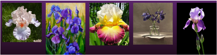 1657766143611.png