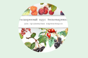 1665614052945.png