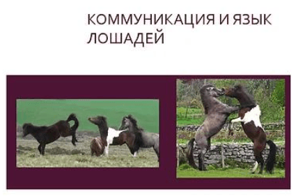 1673960956052.png