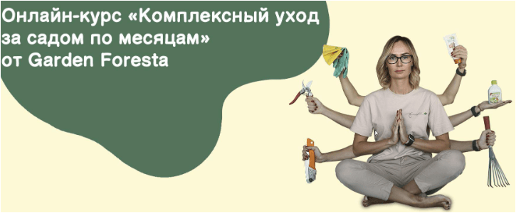 1675366246906.png