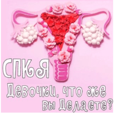 1683718276577.png