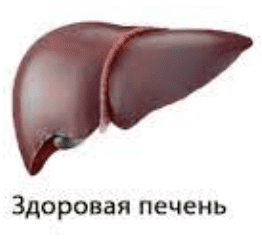 1691970761091.png