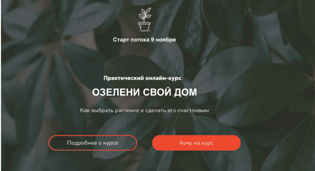 1716458185089.png