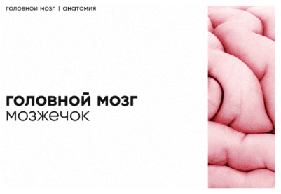 1717016864334.png