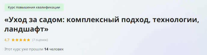 1729840532206.png