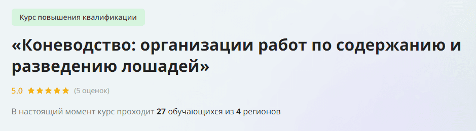 1731123668752.png