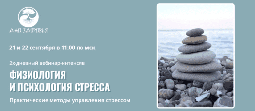 1740351332646.png