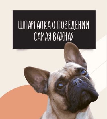 1744582750657.png
