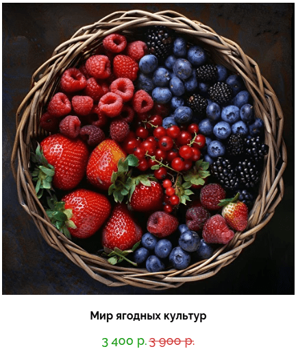 1748193526264.png