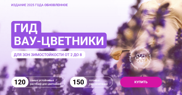 1750372806646.png