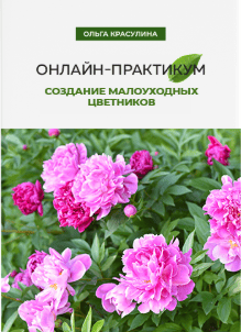 1767914886912.png