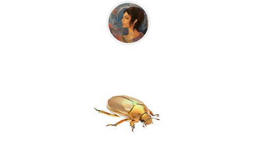 28575144.png