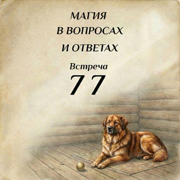 77.jpg