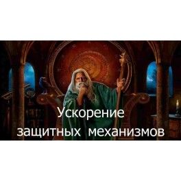 8052-7084-large.jpg