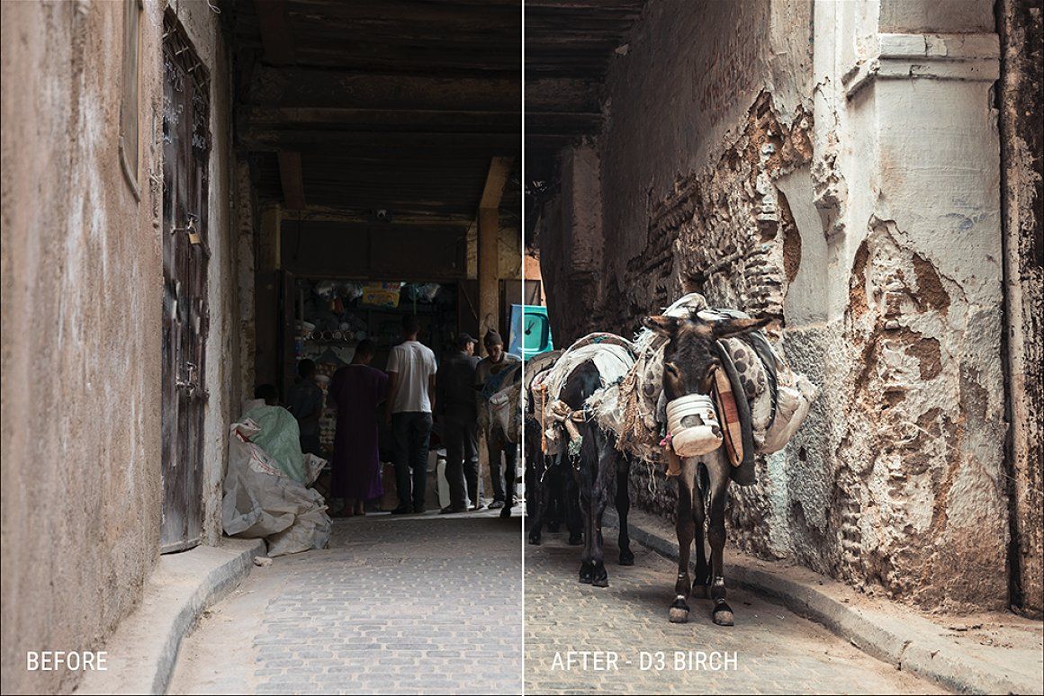 before-after-3-birch-.jpg