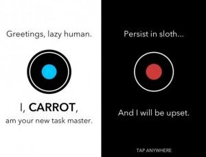 carrot1-300x229.jpg