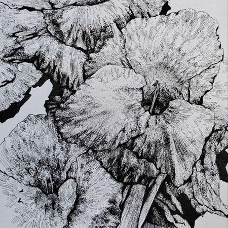 cepurnaa-kurs_6909d784f3d68.jpg