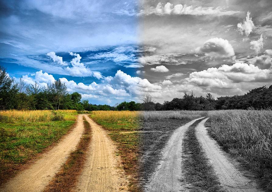 Choose_Your_Destiny_by_hobday.jpg