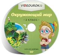 dvd-disk.png