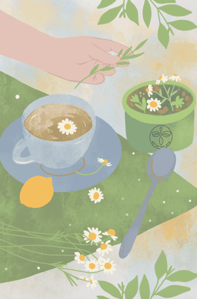  экрана 2024-07-26 в 14.47.03.png