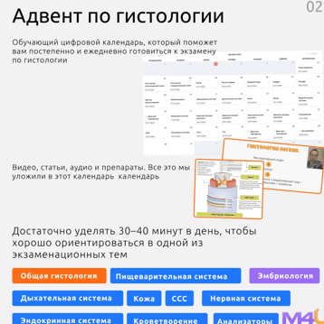  экрана 2025-01-13 154045.png