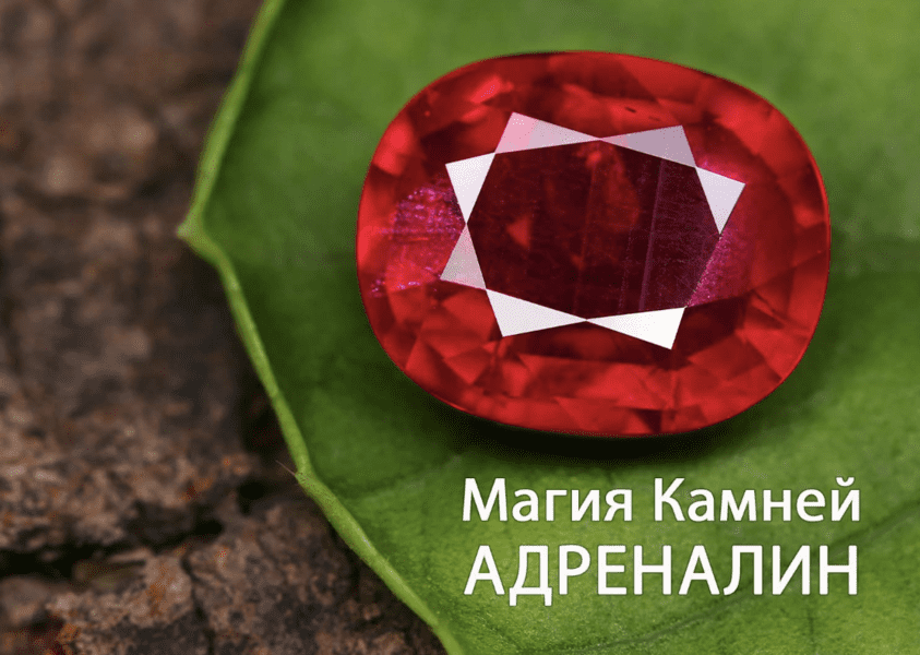  экрана 2025-02-12 в 05.41.29.png
