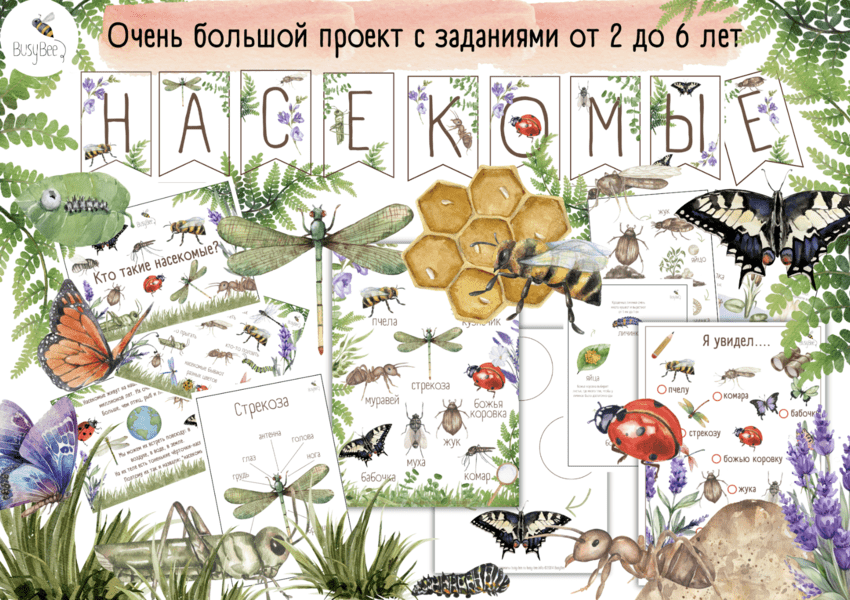  экрана 2025-03-16 в 14.05.31.png