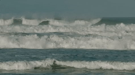 image4-3.gif