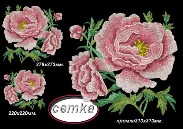  имени.png