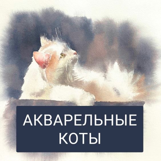 .JPG