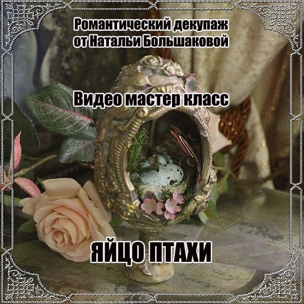 .jpg