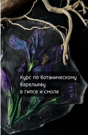 .JPG