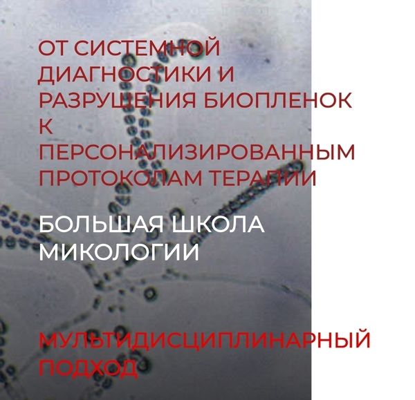 .jpg