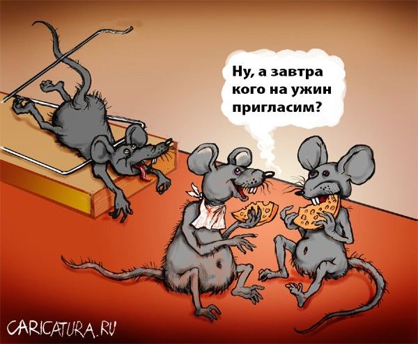 komy_za_50.ru_wp_content_uploads_2012_12_sir.jpg