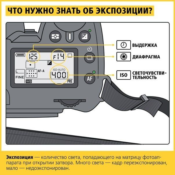 KZKbl5rVg60.jpg
