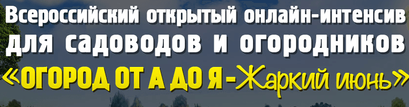 О.png