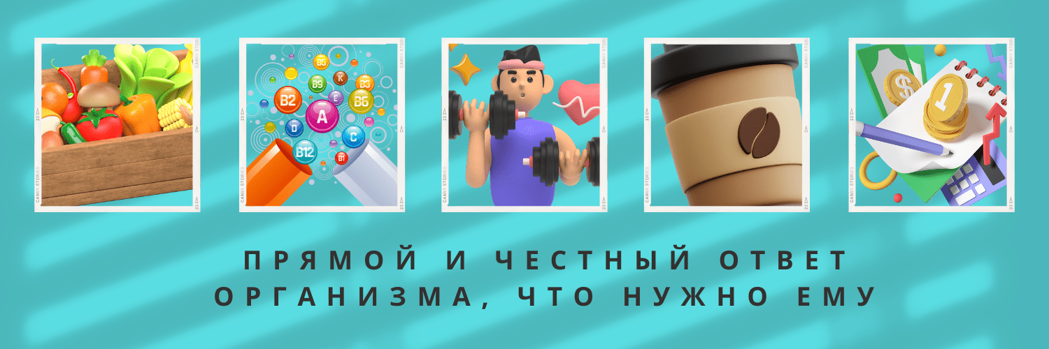  организма.png