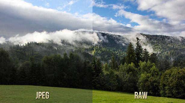 RAW-vs-JPEG.jpg