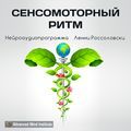 Sensomotorniy_ritm_10_3810771671.jpg