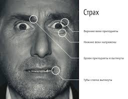 скачанные файлы (1).jpg