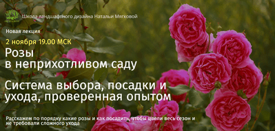 upload_2022-11-1_22-54-35.png