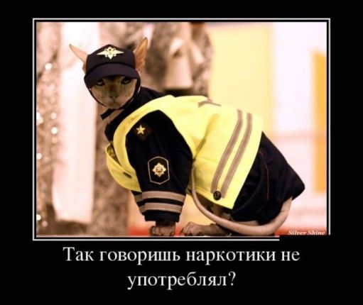 web55-1.jpg