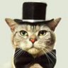 Kedi