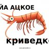 krivedko