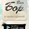 Весь Бор