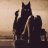 Sandra_25