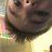 vasil.x